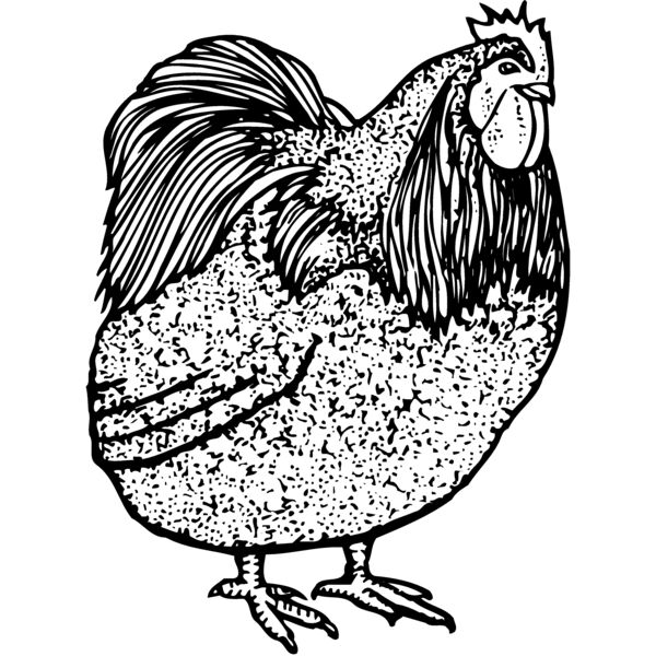 CHICK014 Thumbnail