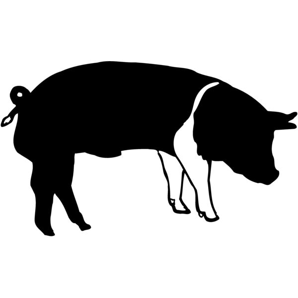 HOG0005 Thumbnail