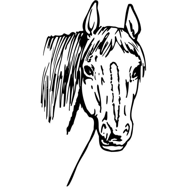 HORSE003 Thumbnail