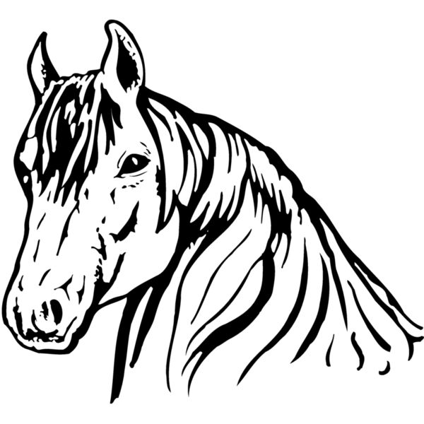 HORSE006 Thumbnail