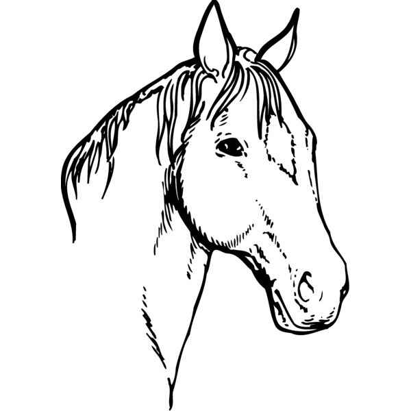 HORSE008 Thumbnail