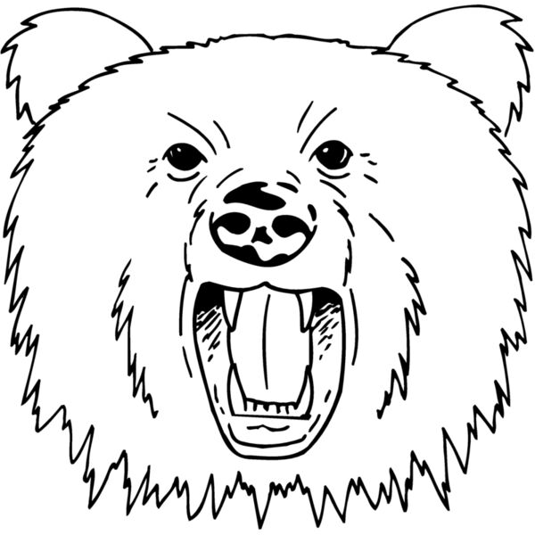 BEAR023 Thumbnail