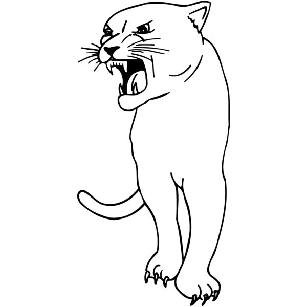 CAT18 Thumbnail