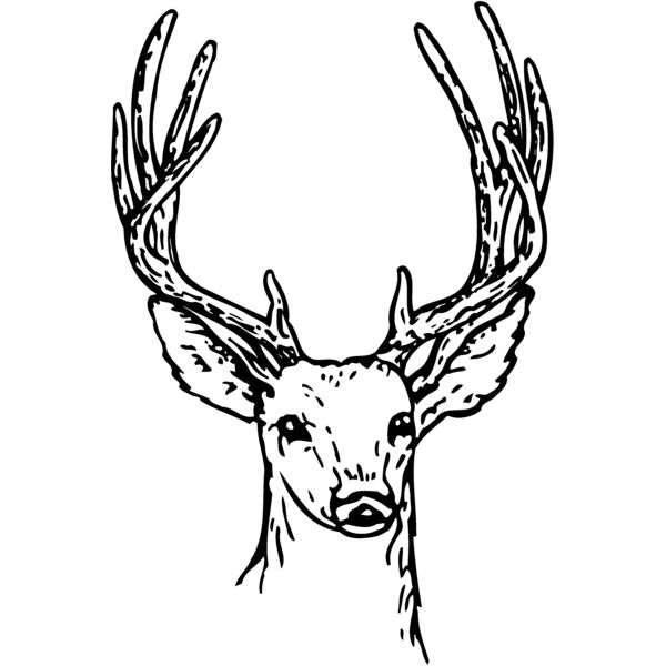 DEER011 Thumbnail