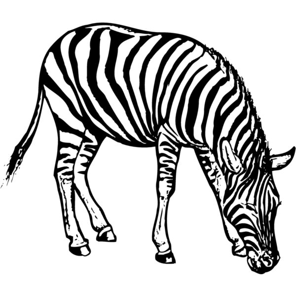 ZEBRA001 Thumbnail