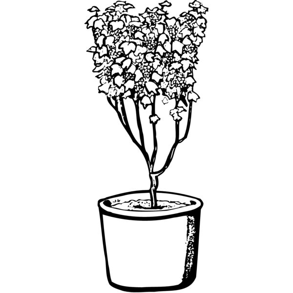 PLANT04 Thumbnail