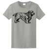 Women's Ultra Cotton ® 100% US Cotton T Shirt Thumbnail