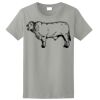 Women's Ultra Cotton ® 100% US Cotton T Shirt Thumbnail