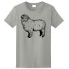 Women's Ultra Cotton ® 100% US Cotton T Shirt Thumbnail