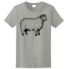 Women's Ultra Cotton ® 100% US Cotton T Shirt Thumbnail