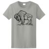 Women's Ultra Cotton ® 100% US Cotton T Shirt Thumbnail