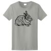 Women's Ultra Cotton ® 100% US Cotton T Shirt Thumbnail