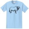 Essential Pocket Tee Thumbnail