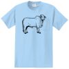Essential Pocket Tee Thumbnail