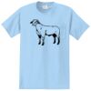 Essential Pocket Tee Thumbnail