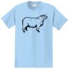 Essential Pocket Tee Thumbnail