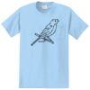 Essential Pocket Tee Thumbnail